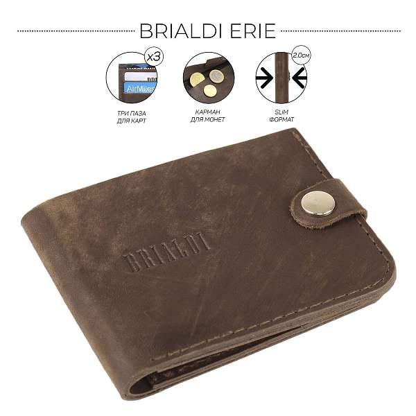 Бумажник BRIALDI Erie (Эри) brown BR09518RK Коричневый Brialdi, Артикул: BR09518RK фото №1