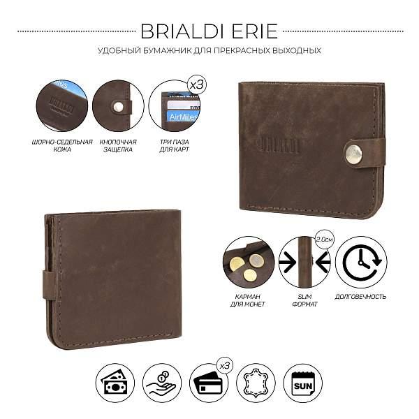 Бумажник BRIALDI Erie (Эри) brown BR09518RK Коричневый Brialdi, Артикул: BR09518RK фото №1
