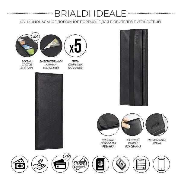 Органайзер-трифолд BRIALDI Ideale (Идеал) relief back BR48196GD Черный Brialdi, Артикул: BR48196GD фото №1