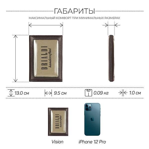 Портмоне для автодокументов SLIM-формата BRIALDI Vision (Взгляд) relief brown BR48534BI Коричневый Brialdi, Артикул: BR48534BI фото №1