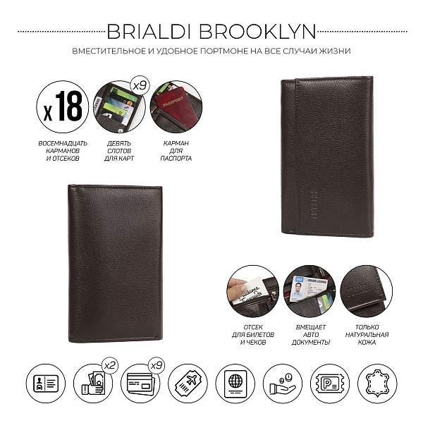 Солидное портмоне BRIALDI Brooklyn (Бруклин) relief brown BR50767DG Коричневый Brialdi, Артикул: BR50767DG фото №1