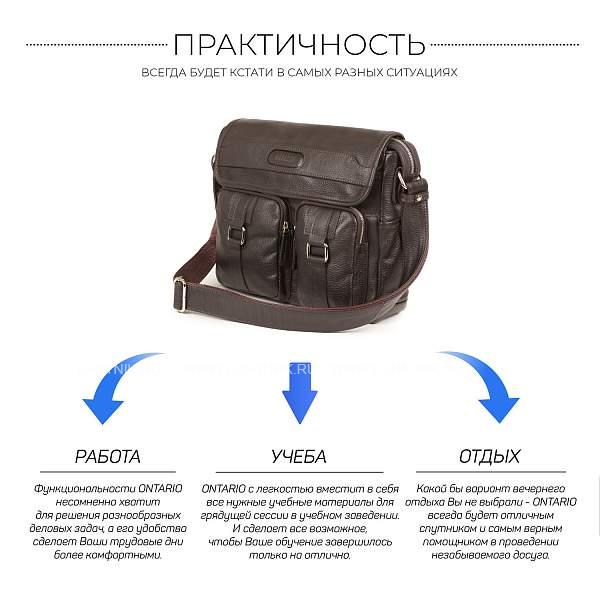 Горизонтальная сумка через плечо BRIALDI Ontario (Онтарио) relief brown BR12996QS Коричневый Brialdi, Артикул: BR12996QS фото №1